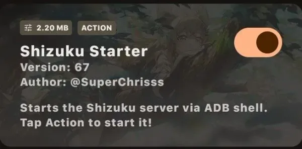Shizuku Starter